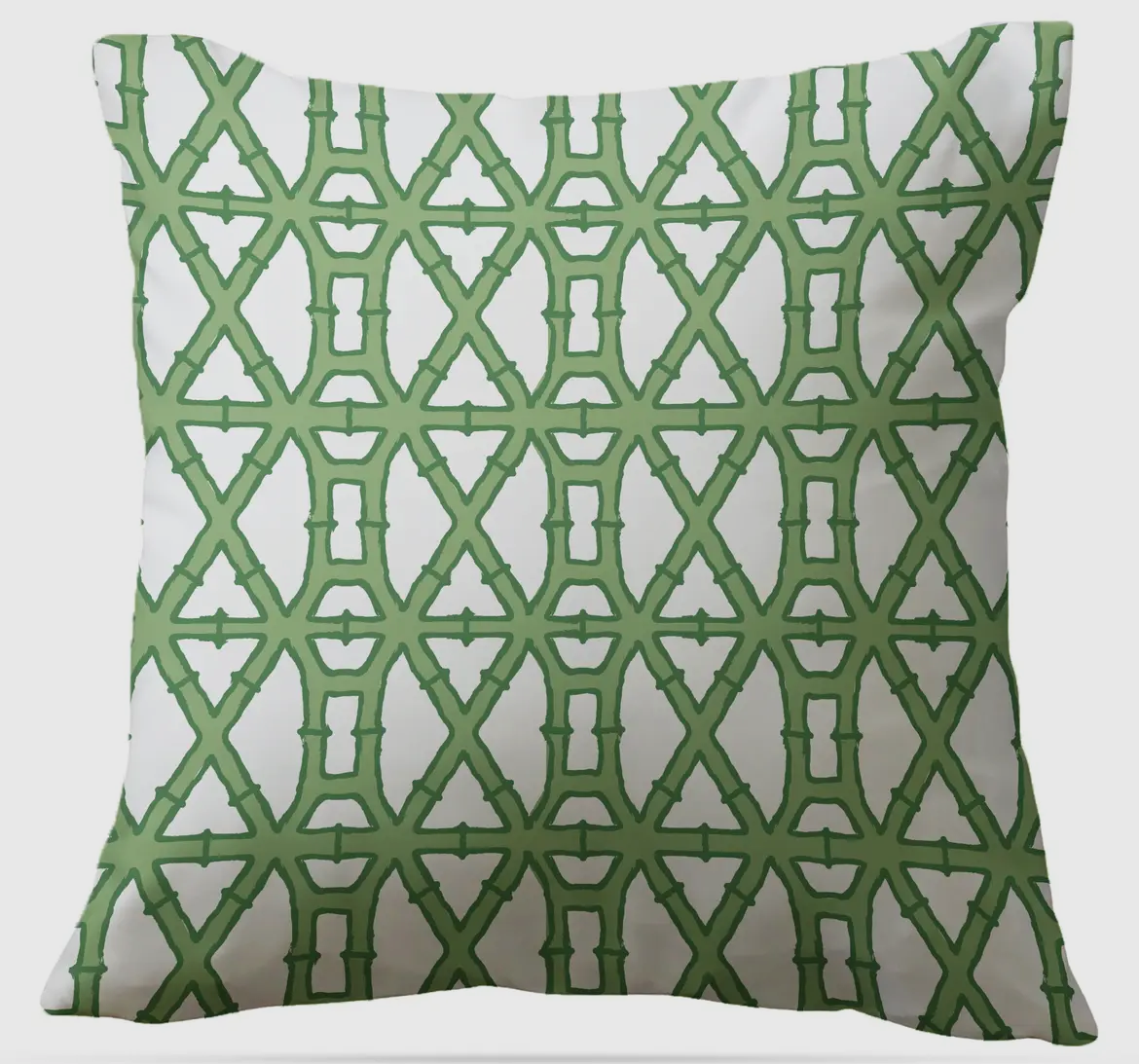 2 Bamboo Indoor/Outdoor Pillow